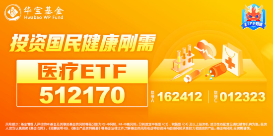 港股冲高，港股互联网ETF（513770）大涨近2%！信创产业链崛起，多股涨停！中证医疗逆市五连阳  第12张