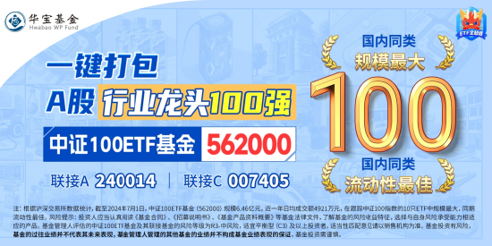 沪指站上2900点！核心资产全线回暖，中证100ETF基金（562000）劲涨超2%！机构：8月市场或迎来转机  第3张