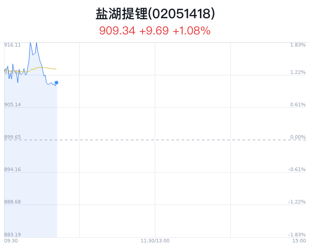 盐湖提锂概念盘中拉升，国机通用涨停