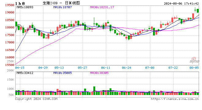 每日猪讯8.6