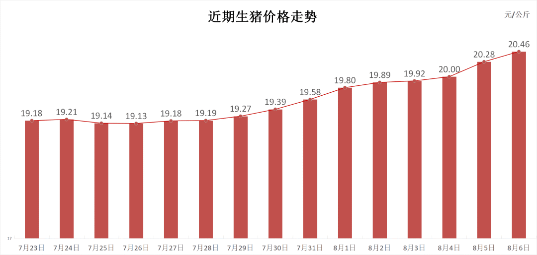 每日猪讯8.6