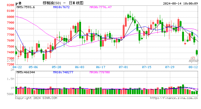 2024年8月14日油脂行情资讯