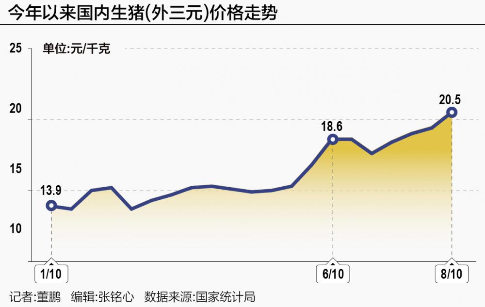 生猪价格节节攀升 行业“强现实”与“弱预期”交织  第1张