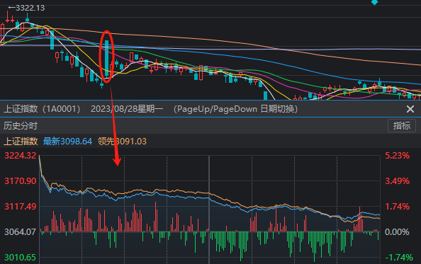 A股成交额不足5000亿，沪指创阶段新低！“828”一年来，到底谁在涨？