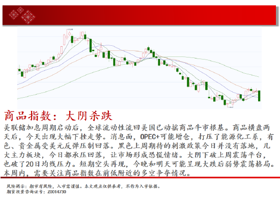 中天期货:玉米大阴回落 纯碱继续下跌  第2张