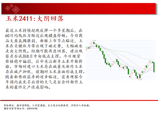 中天期货:玉米大阴回落 纯碱继续下跌