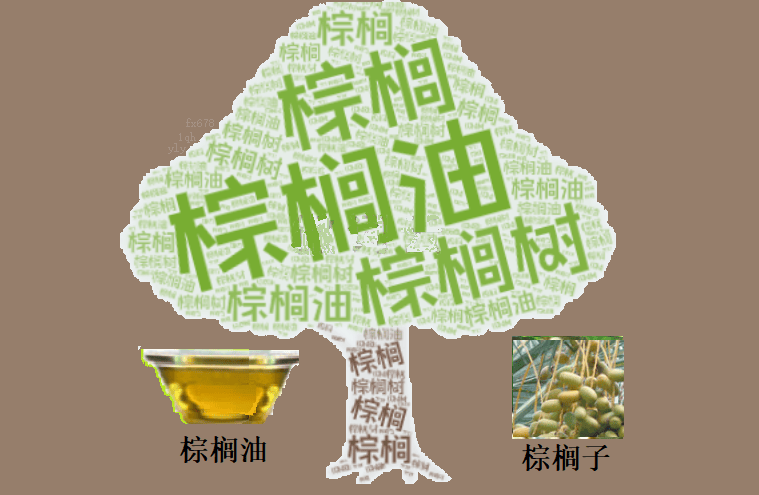 棕榈油跌至三周低点，反弹还有戏吗？全球需求疲软引发市场担忧！