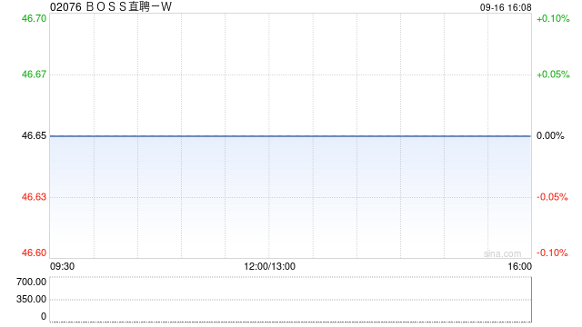 BOSS直聘-W授出206.63万份股份奖励及12万份购股权  第1张