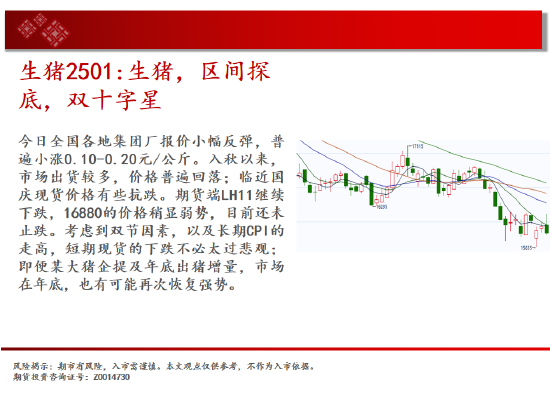 中天期货:原油反弹出现 棕榈继续拉高  第8张