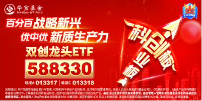 创业板指领涨！两市成交额超1.15万亿元，硬科技宽基——双创龙头ETF（588330）盘中涨逾3.2%  第5张