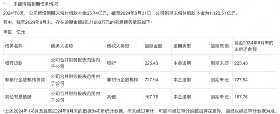 孙宏斌，到账12亿  第4张