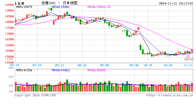 每日猪讯11.12  第2张