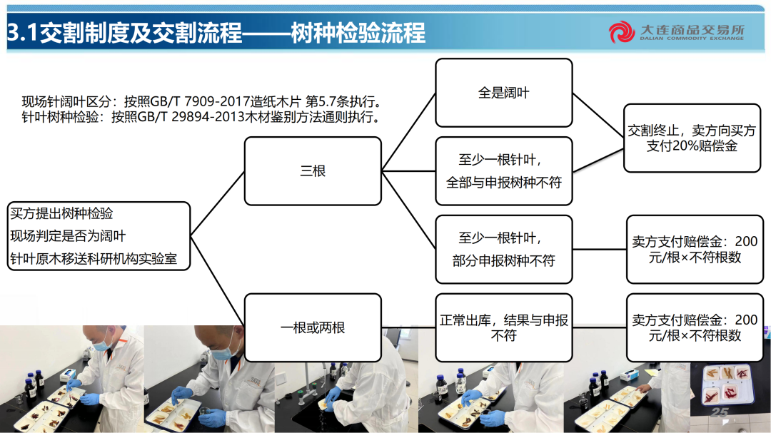 原木期货合约规则及交割业务介绍  第5张