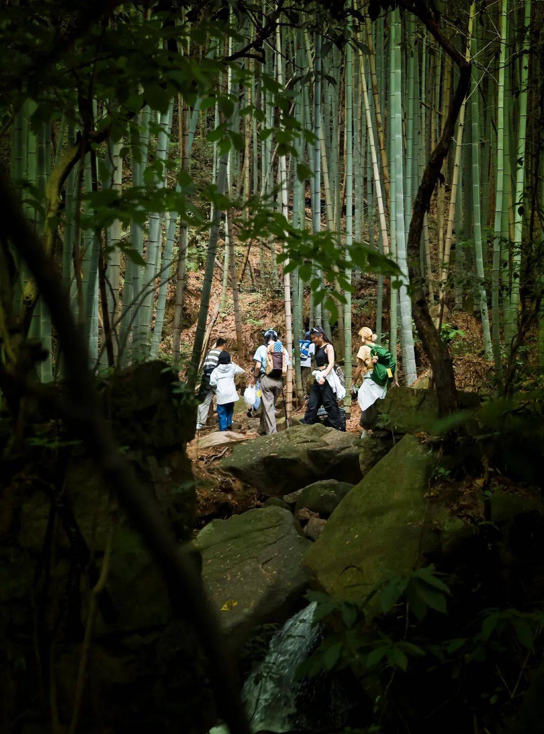 🌸搜搜【2024澳门正版资料免费大全】-陕西各城市角色定位明确：4个区域中心城市 6个市域中心城市