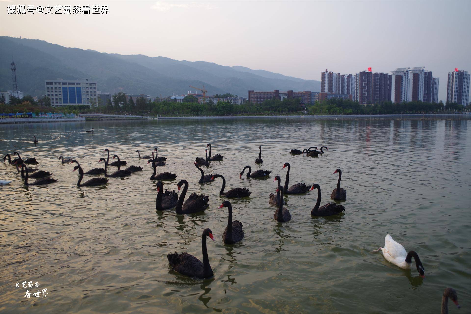 网易视频：澳门一码一肖一特一中准选今晚-毕节获赠“数字人城市推荐官帮扶项目”  第4张