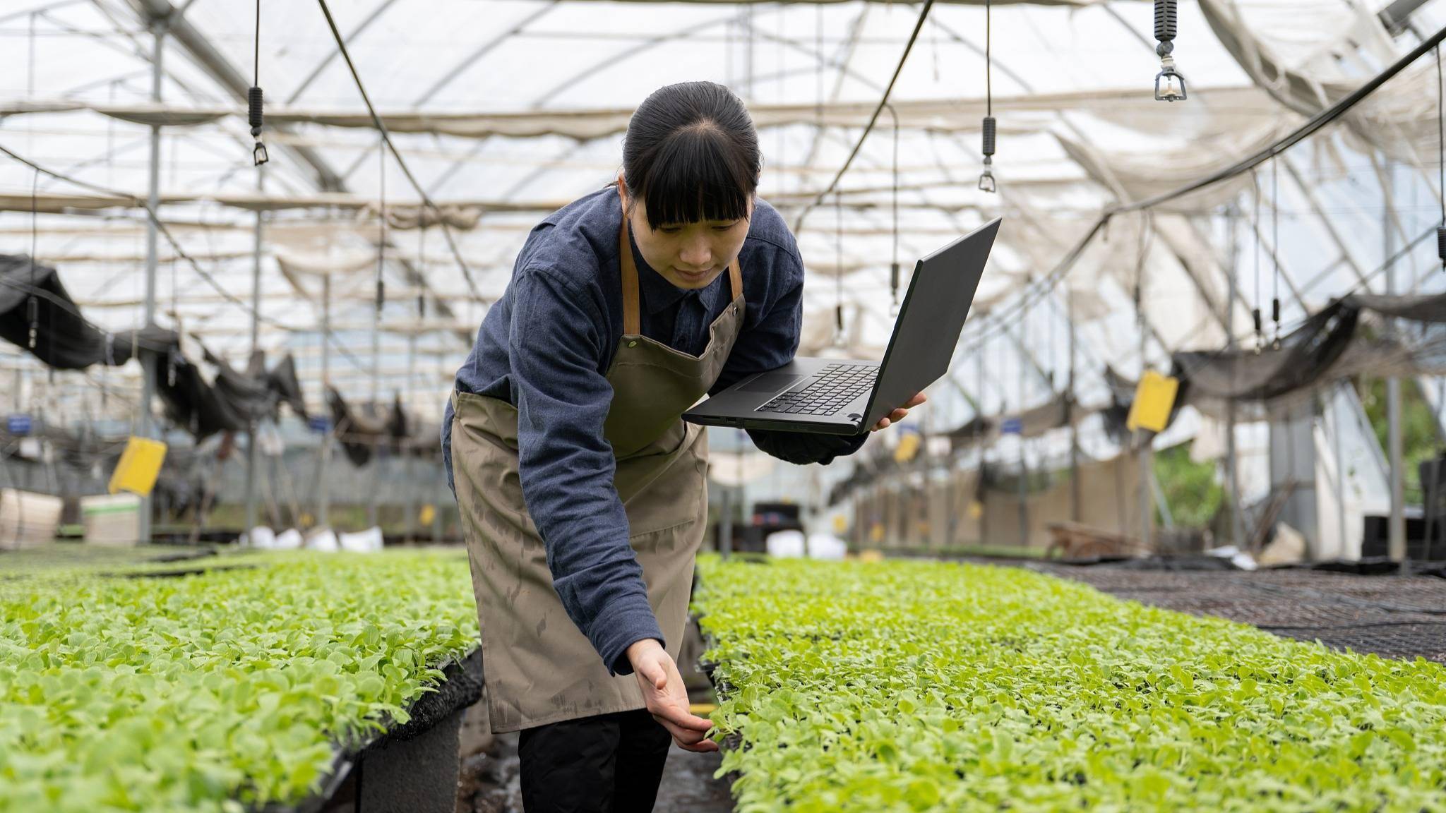 🌸澎湃新闻【新澳门精准资料大全管家婆料】-宝山区践行《上海市生活垃圾管理条例》五周年暨“创享城市之美”专项行动启动！  第3张