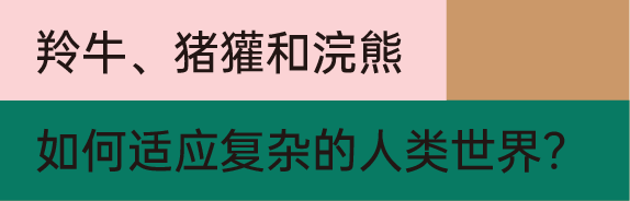 虎牙：澳门一码一肖一特一中2024年-济南起步区以场景驱动赋能城市数字化建设